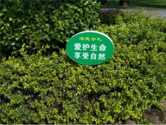 臺江發展園林綠化　助力文明創建工作