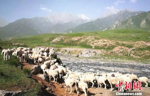 資料圖：夏日的祁連山風景如畫。　郎文瑞 攝