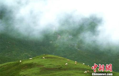 資料圖：七月的祁連山云霧繚繞?！±晌娜?攝