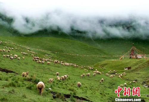 資料圖：夏日的祁連山。郎文瑞 攝