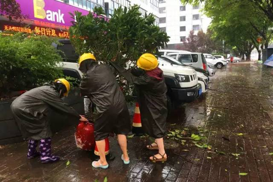 防抗雙臺風！臺江干群連續作戰守護家園側記