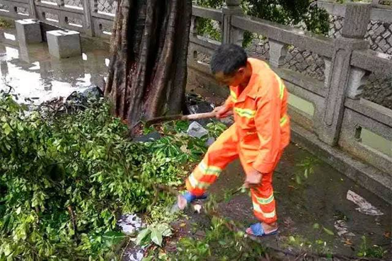 防抗雙臺風！臺江干群連續作戰守護家園側記