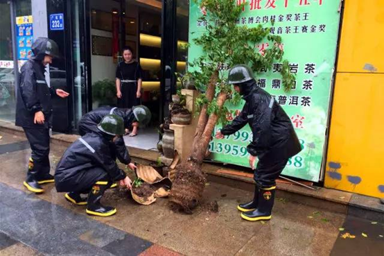 防抗雙臺風！臺江干群連續作戰守護家園側記