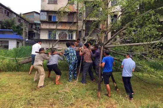 防抗雙臺風！臺江干群連續作戰守護家園側記