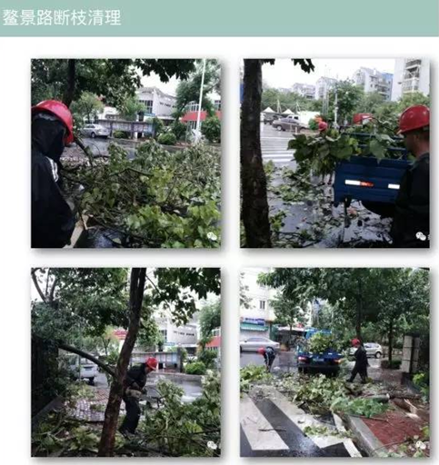 臺風災后志愿服務不停歇 為臺江志愿者點贊