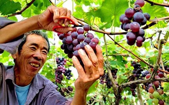 中國“脫貧奇跡” 為世界減貧事業貢獻方案