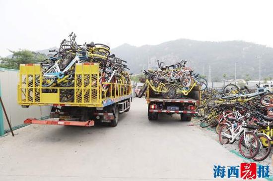 車輛不停地將共享單車運往收納場所。記者 陳理杰 攝