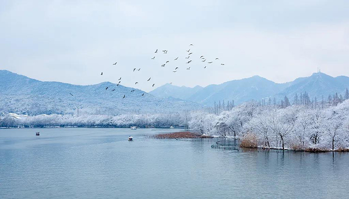 【網絡中國節?小雪】今日小雪