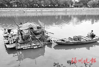  臺江城管拆除違建鴨棚