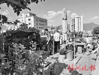 臺(tái)江城管拆除　福明苑樓頂違建