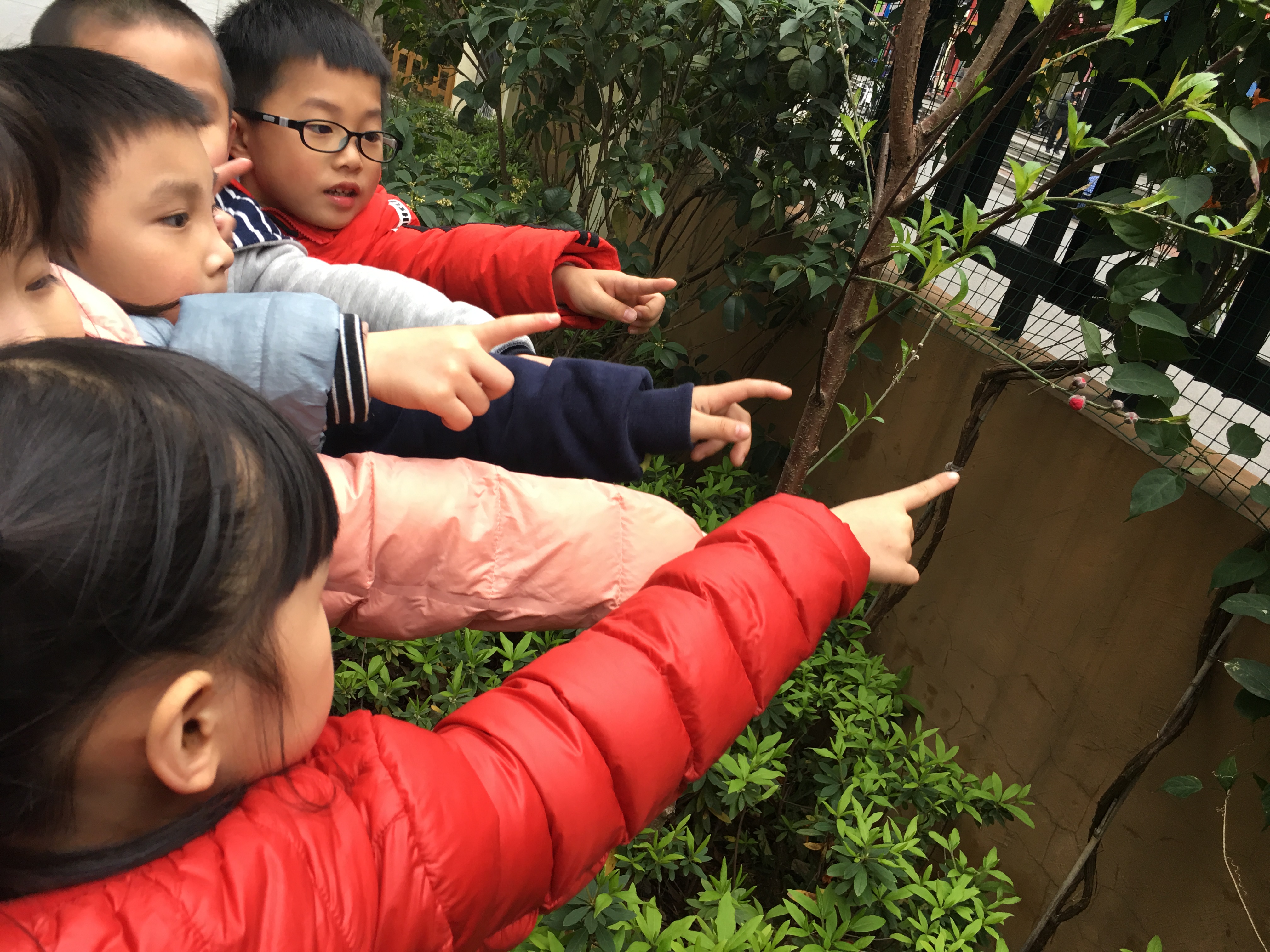 臺江區舉辦植樹節系列活動 為城市增綠添彩