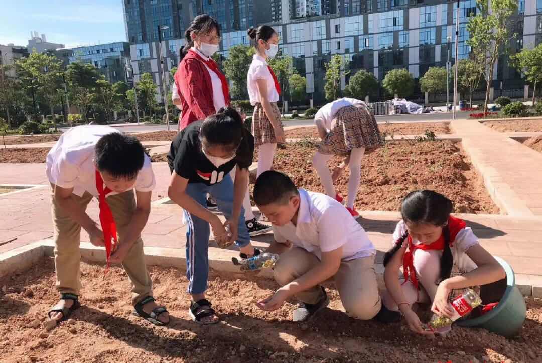 厚植勞動沃土 臺江區特色勞動教育筑夢勵志 賦能未成年人健康成長