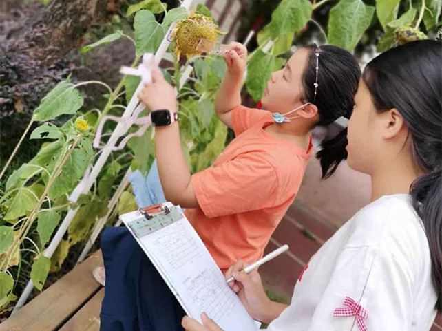 厚植勞動沃土 臺江區特色勞動教育筑夢勵志 賦能未成年人健康成長