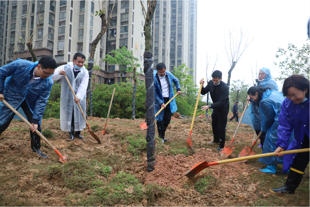 臺江：防疫護綠兩不誤 植樹添綠正當時