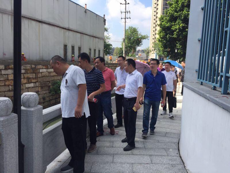 市、區兩級人大代表前往茶亭河沿岸視察水系治理工作.JPG